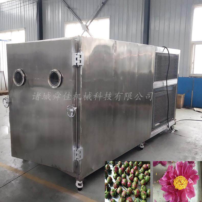 龙眼核桃仁真空冷冻干燥机石林人参果低温冻干机果蔬真空冻干机