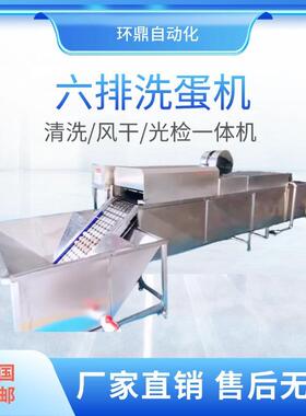 养殖场鸡蛋清洗风干光检一体机水槽自动上蛋毛刷清洗机冷光源光检