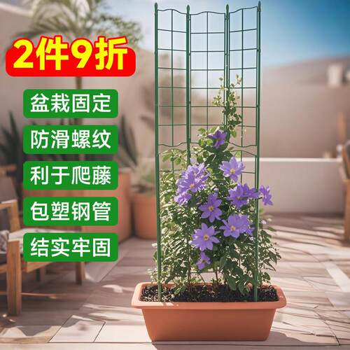 花架爬藤架铁线莲网格藤架大花盆月季铁线牵引植物支撑杆架子攀爬