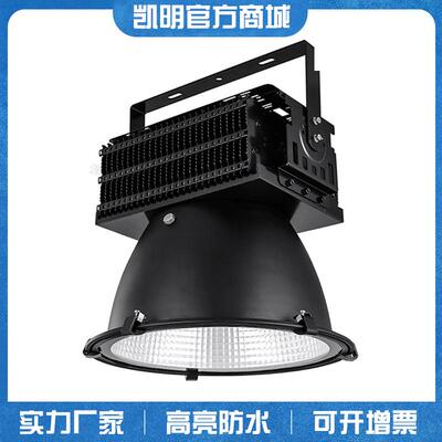 支架LED厂房吊灯400W500W600W大瓦数工矿灯泛光投光灯Flood light