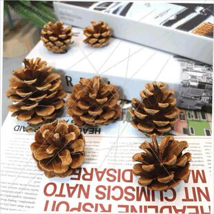 pine Photo cones Christmas materials props Handmade