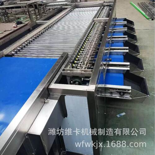 胡萝卜直径分选机金桔大小选果机价格厂家分拣精度高速度快