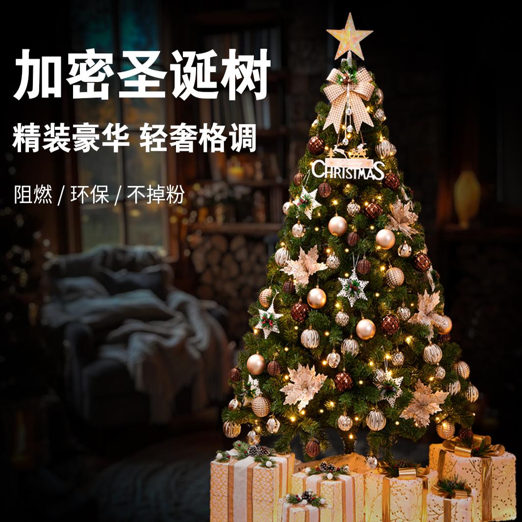 新款加密家用圣诞树套餐2024圣诞节diy装饰客厅大型豪华仿真摆件