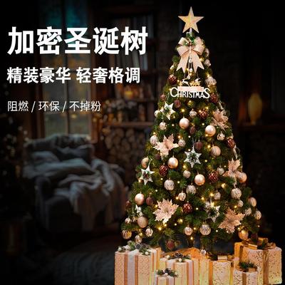 新款加密家用圣诞树套餐2024圣诞节diy装饰客厅大型豪华仿真摆件