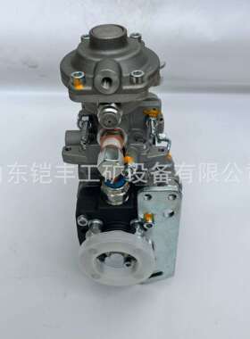 0460424274柴油泵28522725040540202856901504215215型号齐全