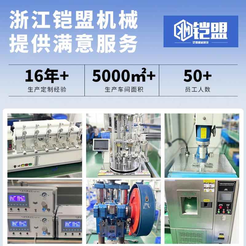 抽打两用双头小型24V直流