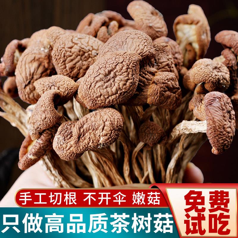 云南特产茶树菇干货500g 无硫切根汤料 家用商用