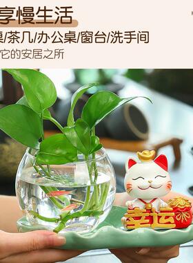 平安喜乐招财猫水培花瓶水养花器玻璃花瓶办公室桌面摆件鱼缸猫咪