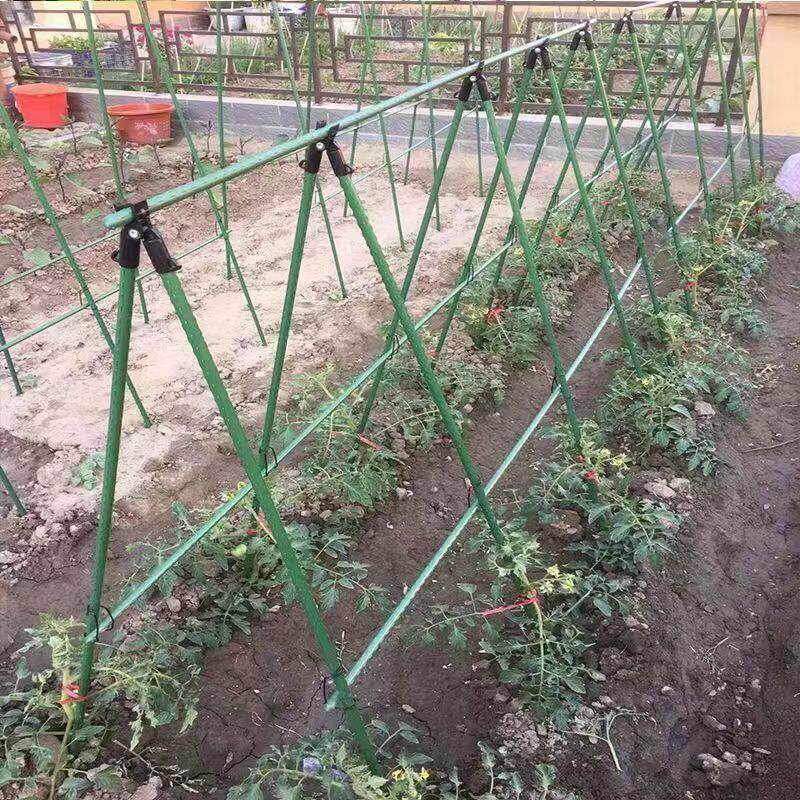 爬藤架豆角架黄瓜架子种菜架户外庭院植物攀爬架菜园蔬菜种植架