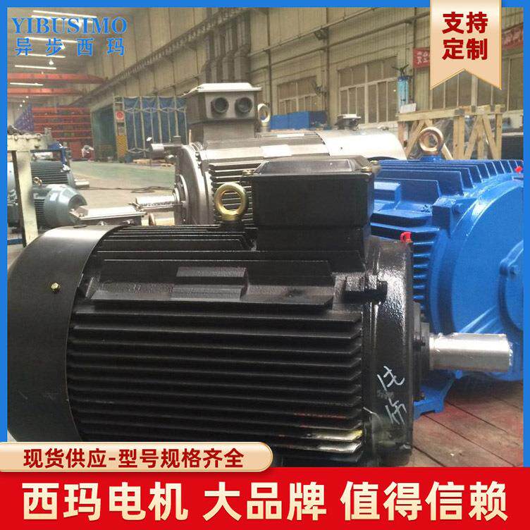 现货异两销售Y/E3型三相步电机YE3YE3节能-315L2-2200KW立卧用