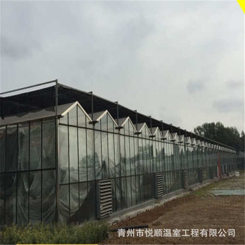 玻璃温室大棚工程智能温室大棚大棚骨架生态餐厅种植观赏大棚