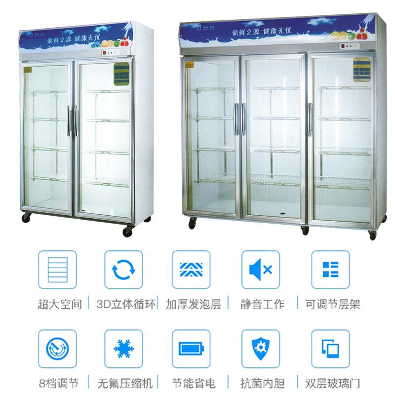 饮料柜展示柜塑冷藏商用HFH-ZSG2立式冰箱双三门啤酒保鲜柜门商面