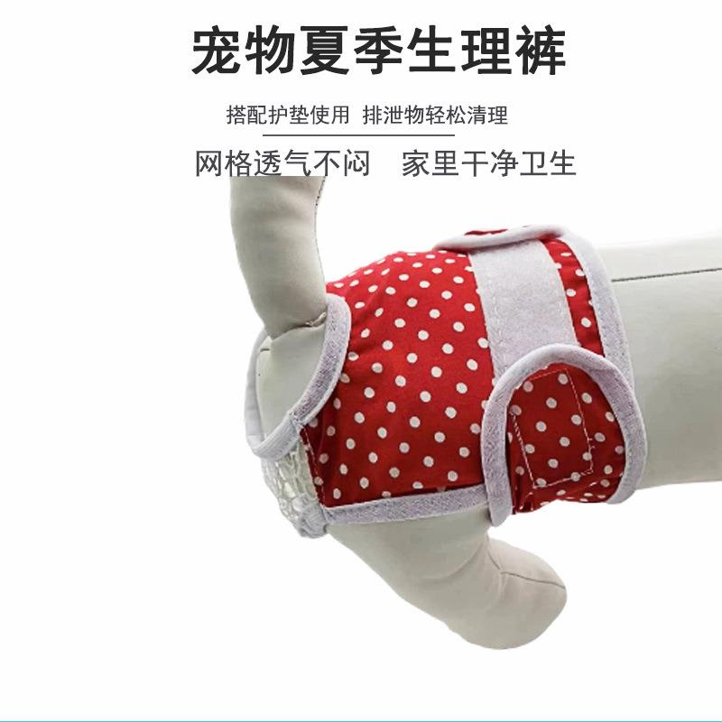 Female dog physiological pants can be washed and recycled.