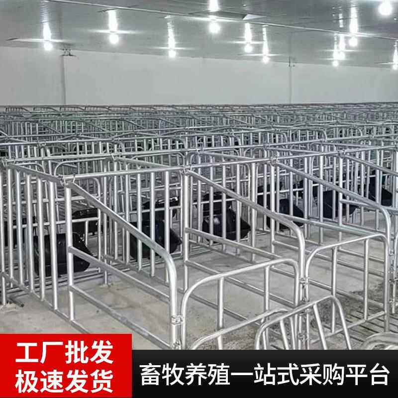 厂家定制落地式限位栏猪用母猪定位栏加厚镀锌管落地式养猪设备
