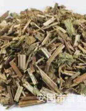 泽兰粉 罗贴巴粉 孩儿菊粉 1公斤起批