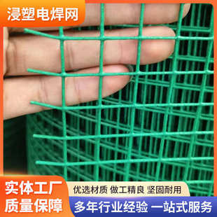 热镀锌电焊网内墙挂网防裂粉墙网外墙保温钢丝网养殖圈地浸塑网