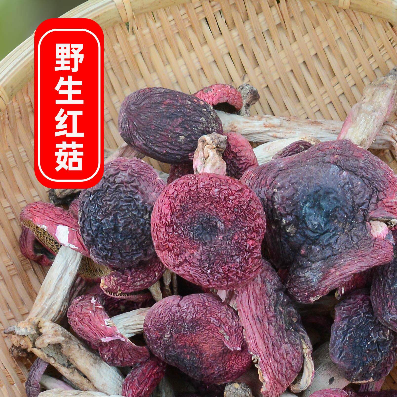 2021年福建干货土特产三明野生特级红菇正宗蓝底月子食用菌500克