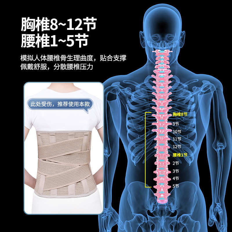 固定支撑加宽护腰带腰椎支撑运动透气护腰带办公室久坐加宽护腰带