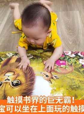 宝宝的触书早教触摸书摸婴TM626765儿书感烂官绘本那么大地翻板书