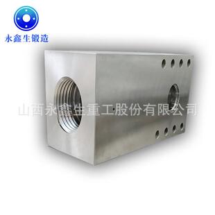 自由锻件毛坯 9cr3mo锻件H13模具钢锻件生产加工