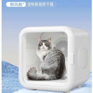 外贸宠物烘干机快速吹干62L大容量烘干箱小型猫狗烘干箱一件起批