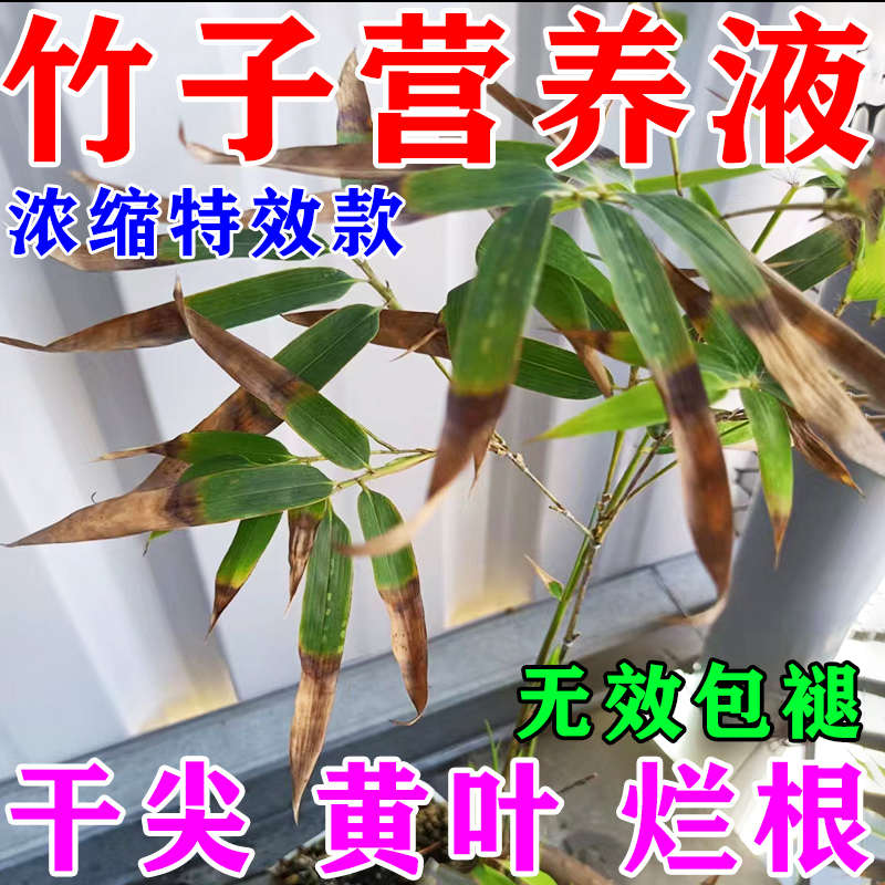 植物营养液通用型绿植僵苗黄叶急救土培水培盆栽花卉花肥液体肥料