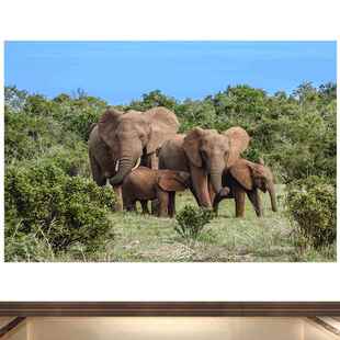 吉象招财旺宅旺业大象装饰画野象象群民宿酒店旅馆海报壁画自粘画