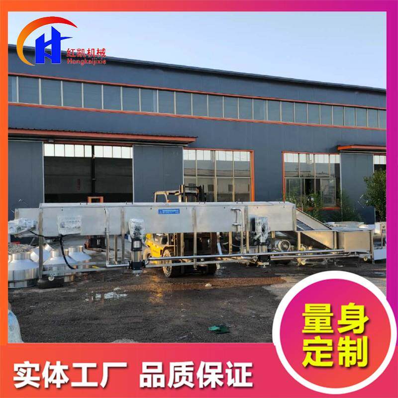供应油菜气泡清洗机设备 全自动果蔬清洗机 翻浪式金针菇清洗机