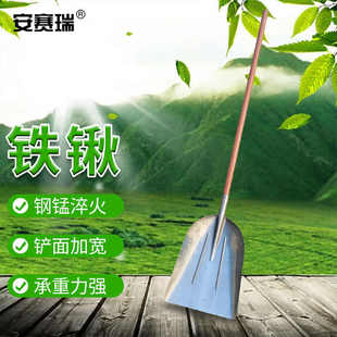 安赛瑞小铁锹头煤铲挖土种菜花园清粪方锨小号方铲5E00543