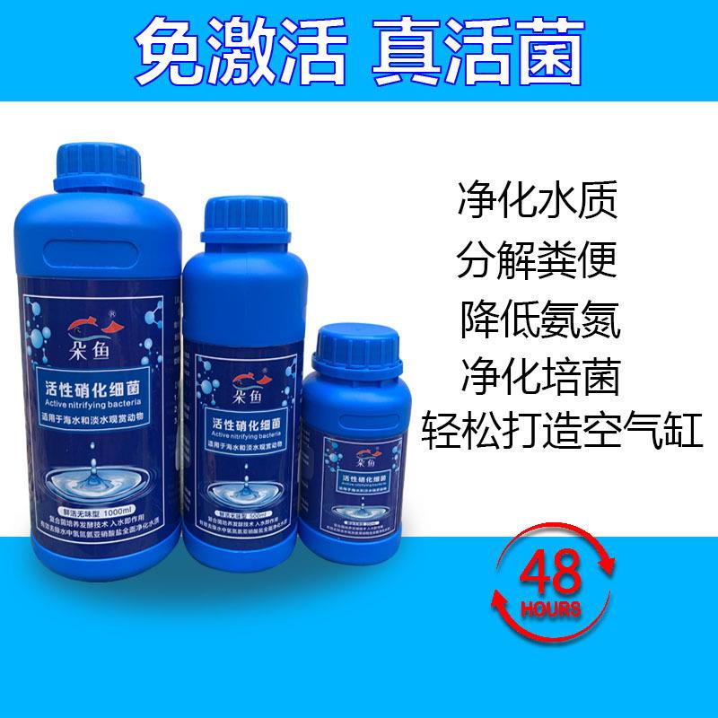 硝化细菌液体鱼缸净水剂硝化菌清澈水质养鱼用品水质稳定剂消化菌