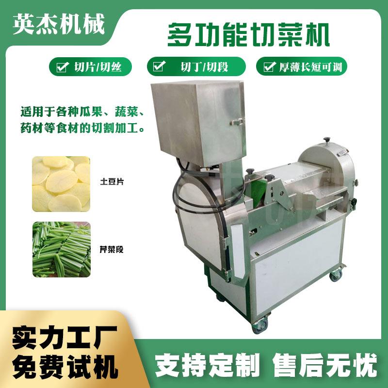 多功能果蔬加工切丁切片设备商用变频食堂切菜机全自动切菜器