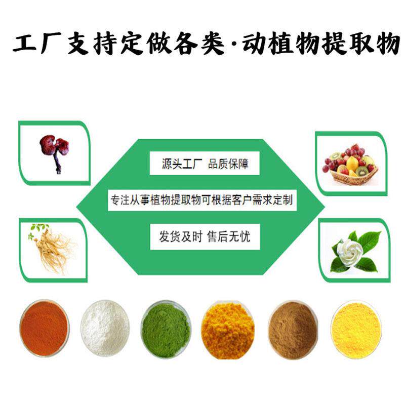 乳铁蛋98食营白养强化剂品原料鲜%牛奶提取物现货供610乳铁蛋白