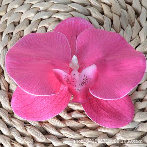 兰花头仿真花diy白色蝴蝶仿真花