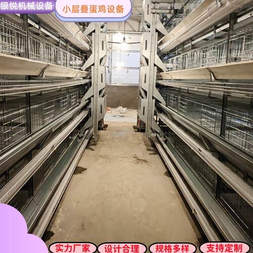 小层叠H型立体自动化三层/四层蛋鸡养殖设备/龙门或背负式喂料