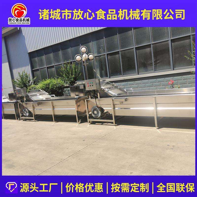 蔬菜清洗流水线全自动多功能水果蔬菜清洗机大鱼水产品气泡清洗机