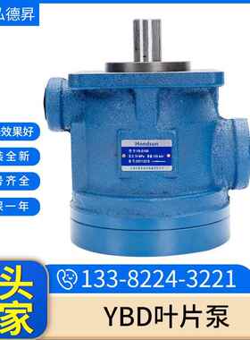 YBD叶片泵液压油泵YB-D10/16/25/32/40机床液压泵车辆叶片泵现货