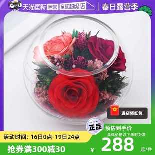 自营 泰国进口永生花玻璃罩真空玫瑰花礼物花瓶摆件玫瑰鲜花