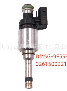 DM5G-9F593-AA 适用于福特福克斯喷油嘴 DM5G9F593AA 0261500221