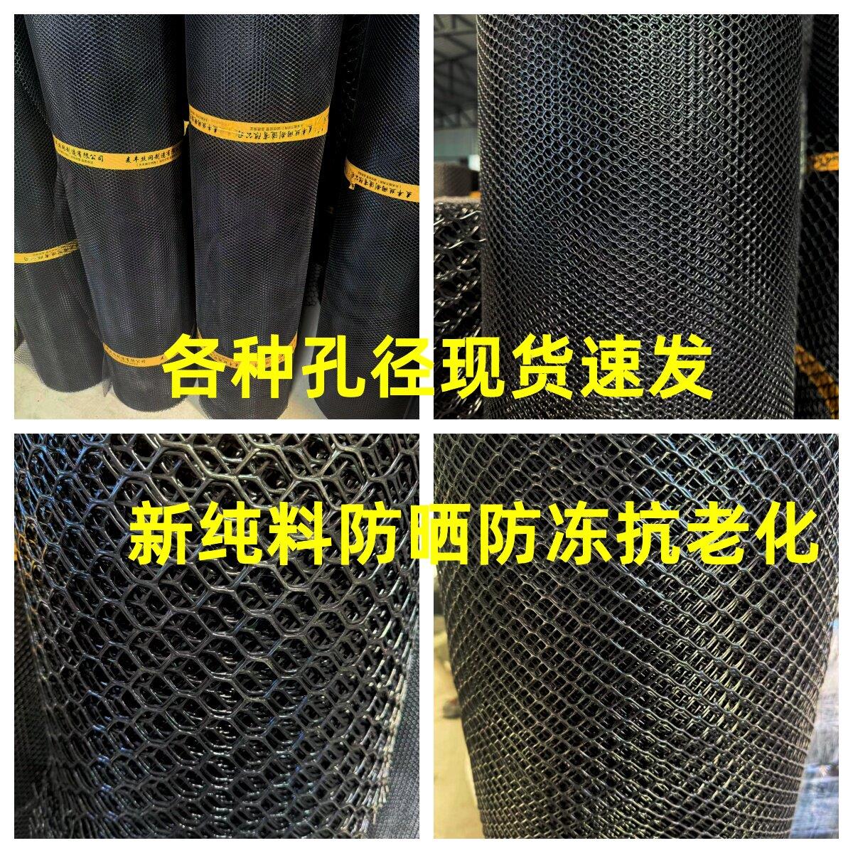 整卷黑色塑料平网养殖用网育雏养鸡鸭漏粪网养蜂网脚垫防护网胶网