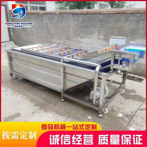 枸杞大枣果蔬气泡清洗机不锈钢蔬菜商用气泡清洗机设备大型