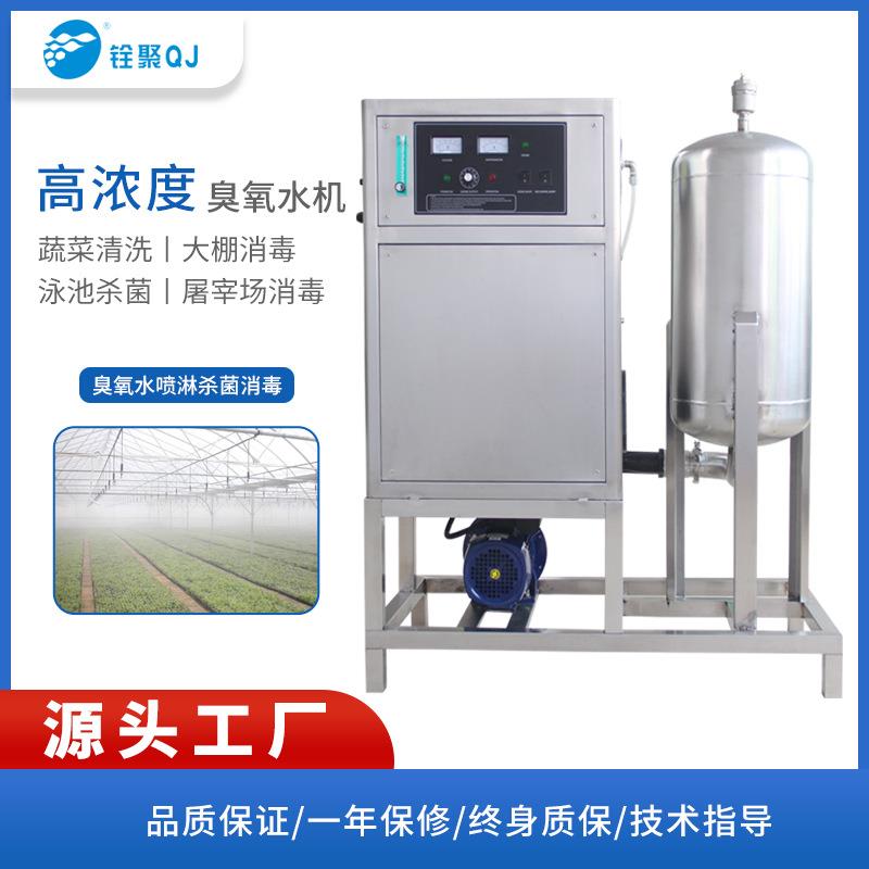 氧气源臭氧发生器食品加工设备工业用浸泡杀菌消毒一体机厂家包邮
