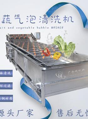 全自动果蔬气泡清洗机商用多功能洗菜机蔬菜水果清洗风干线外贸