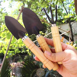 Bonsai small spade, flower planting and cultivating iron sho