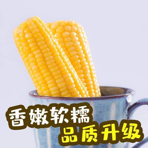 蓝季东北玉米甜糯香浓苞谷非转基因8支生鲜黄糯玉米棒早餐旗舰店