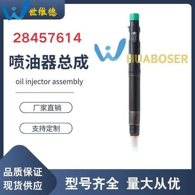 28457614 德尔福系统共轨喷油器 玉柴CRI-011国五电喷喷油器