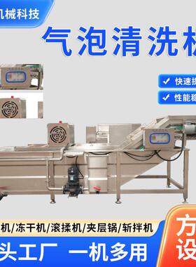 气泡清洗机果蔬大姜清洗机连续式压喷淋材不伤表皮气泡清洗机