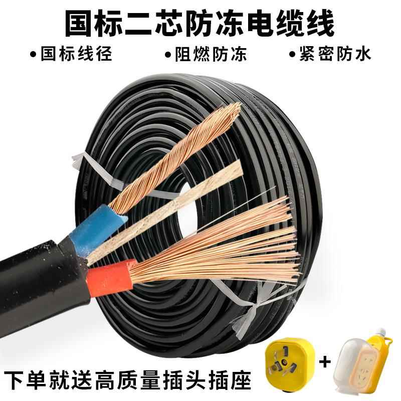 户外防冻电线软线二芯电缆线带插头家用国标1.5 2.5 4平方护套线