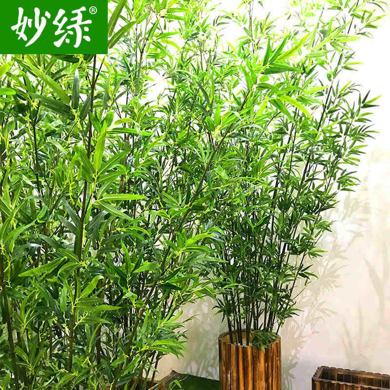 仿真竹子绿植物室内外阳台装饰造景人造大盆栽庭院假毛竹隔断挡墙