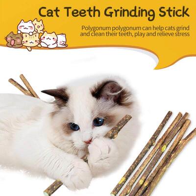Natural Catnip Pet Cat Molar Toothpaste Stick Pet Cat Kitten