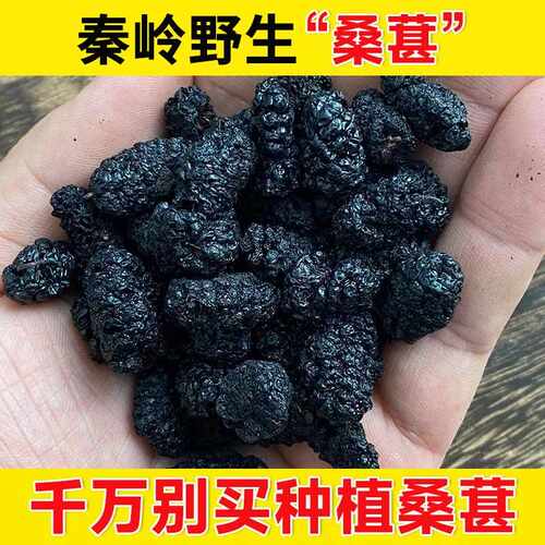 新疆包邮秦岭野生桑葚新鲜黑桑椹非桑葚干 干果搭覆 覆盆子枸杞红